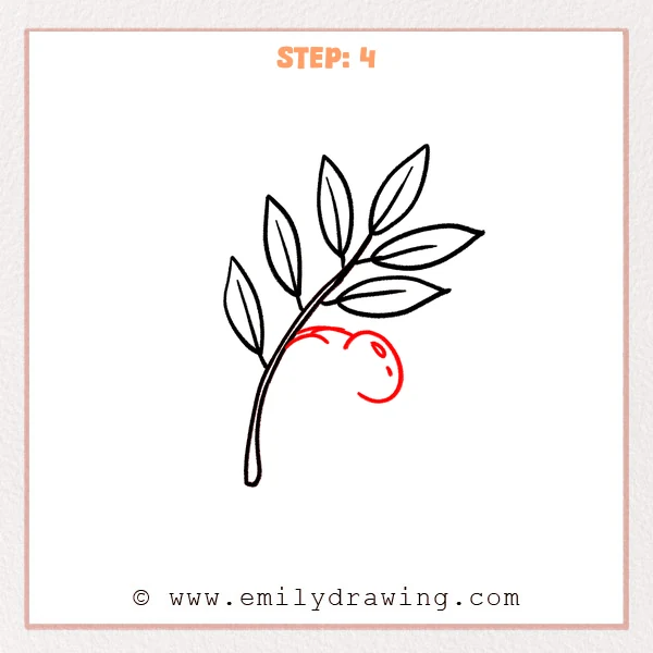 how to draw an olive branch - Step 4